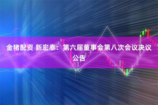 金猪配资 新宏泰：第六届董事会第八次会议决议公告