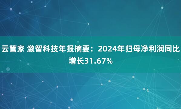 云管家 激智科技年报摘要：2024年归母净利润同比增长31.67%