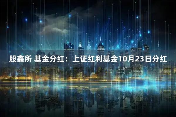 股鑫所 基金分红：上证红利基金10月23日分红