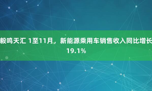 毅鸣天汇 1至11月，新能源乘用车销售收入同比增长19.1%
