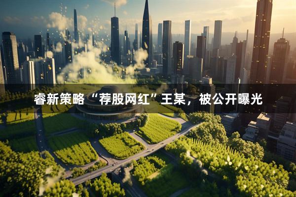 睿新策略 “荐股网红”王某，被公开曝光