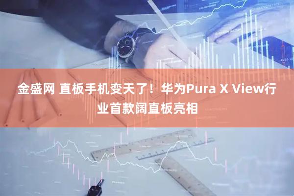 金盛网 直板手机变天了！华为Pura X View行业首款阔直板亮相